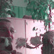 juozas, 65