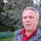 rocco, 56